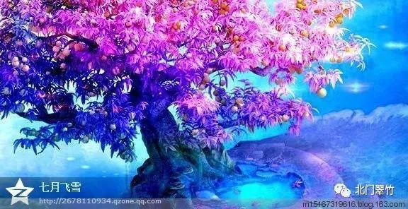 红树林逃生